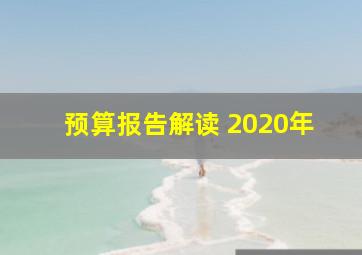 预算报告解读 2020年